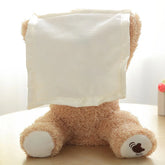 Peekaboo Magic Bear Plush Toy